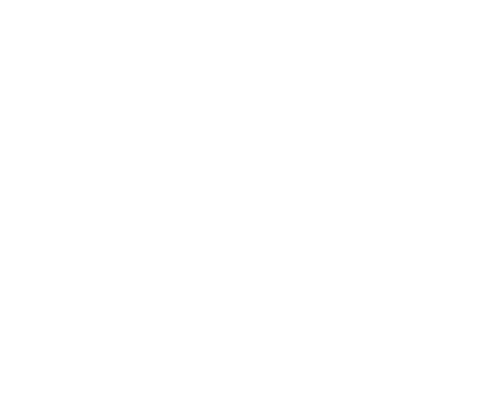 optilock